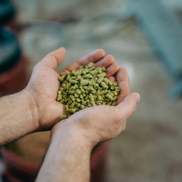 https://notosbrewery.gr/wp-content/uploads/2026/06/zith-4-640x640.jpg